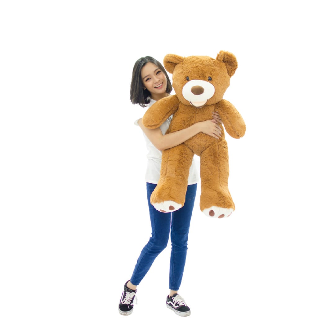 American teddy bear 100cm in dark brown