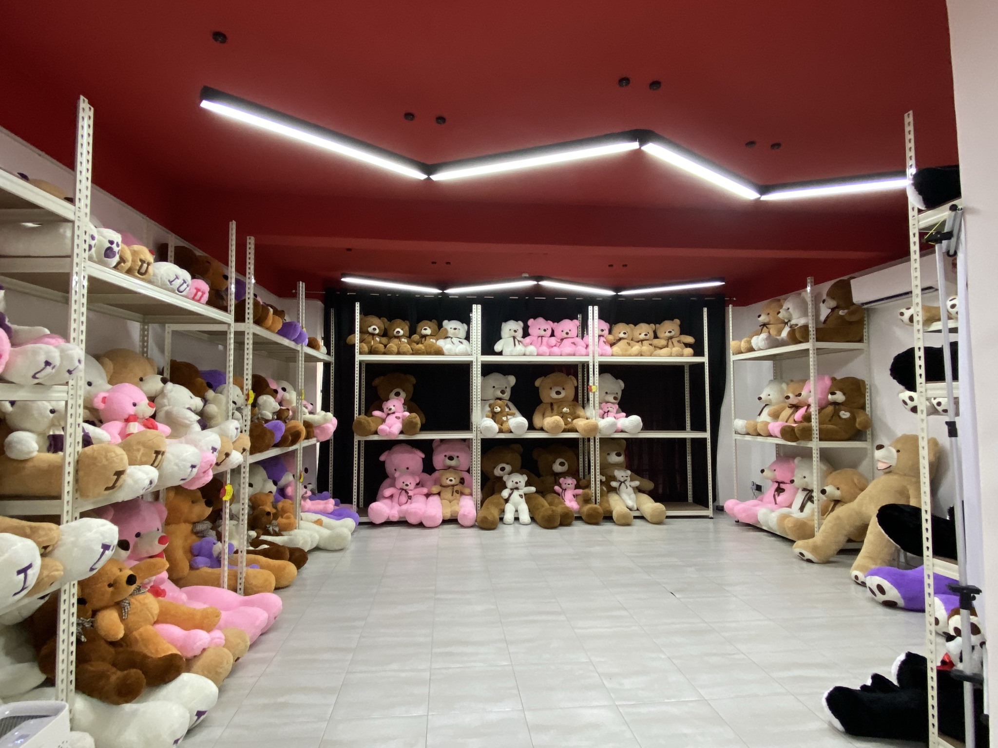 teddy bear oppabear